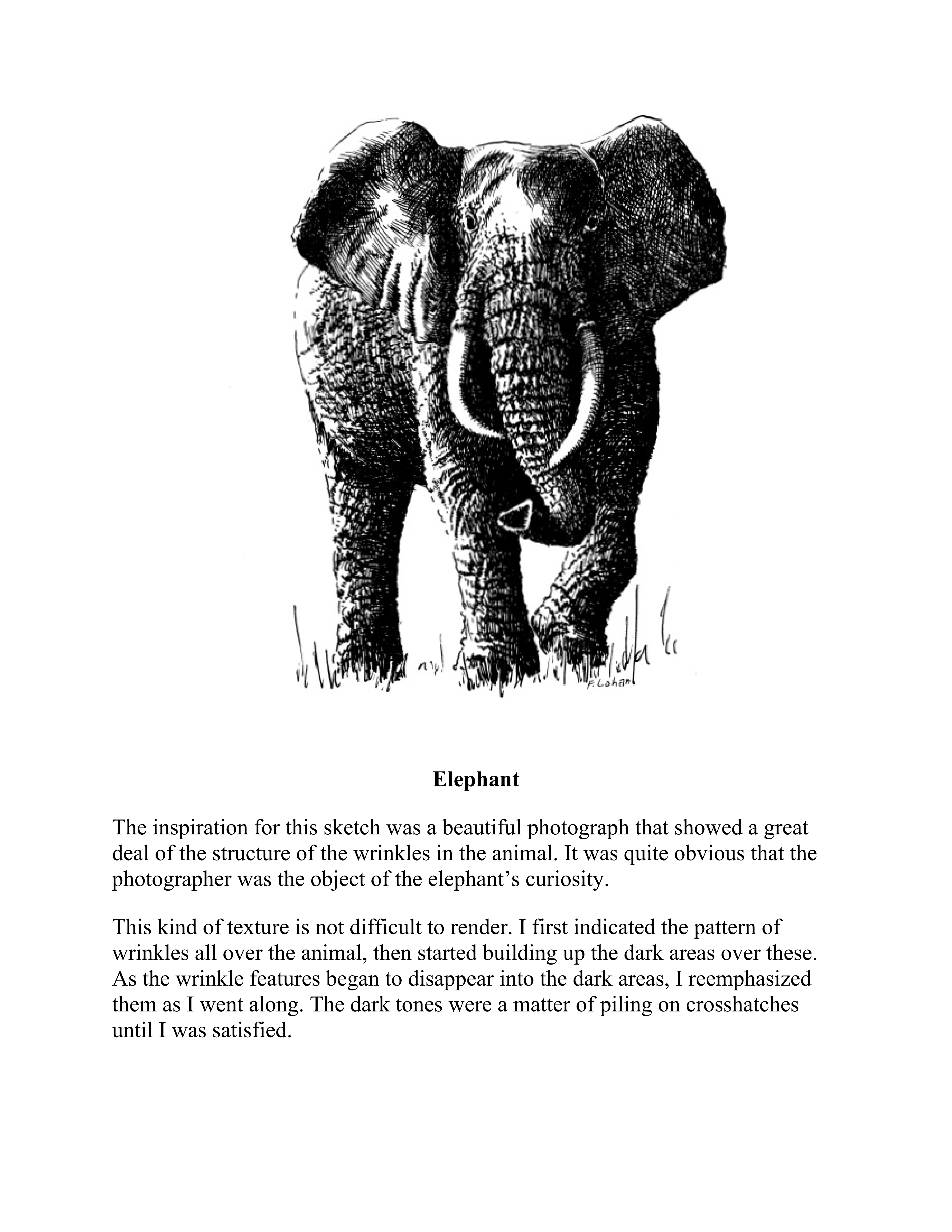 آموزش نقاشی طراحی سیاه قلم شهرری